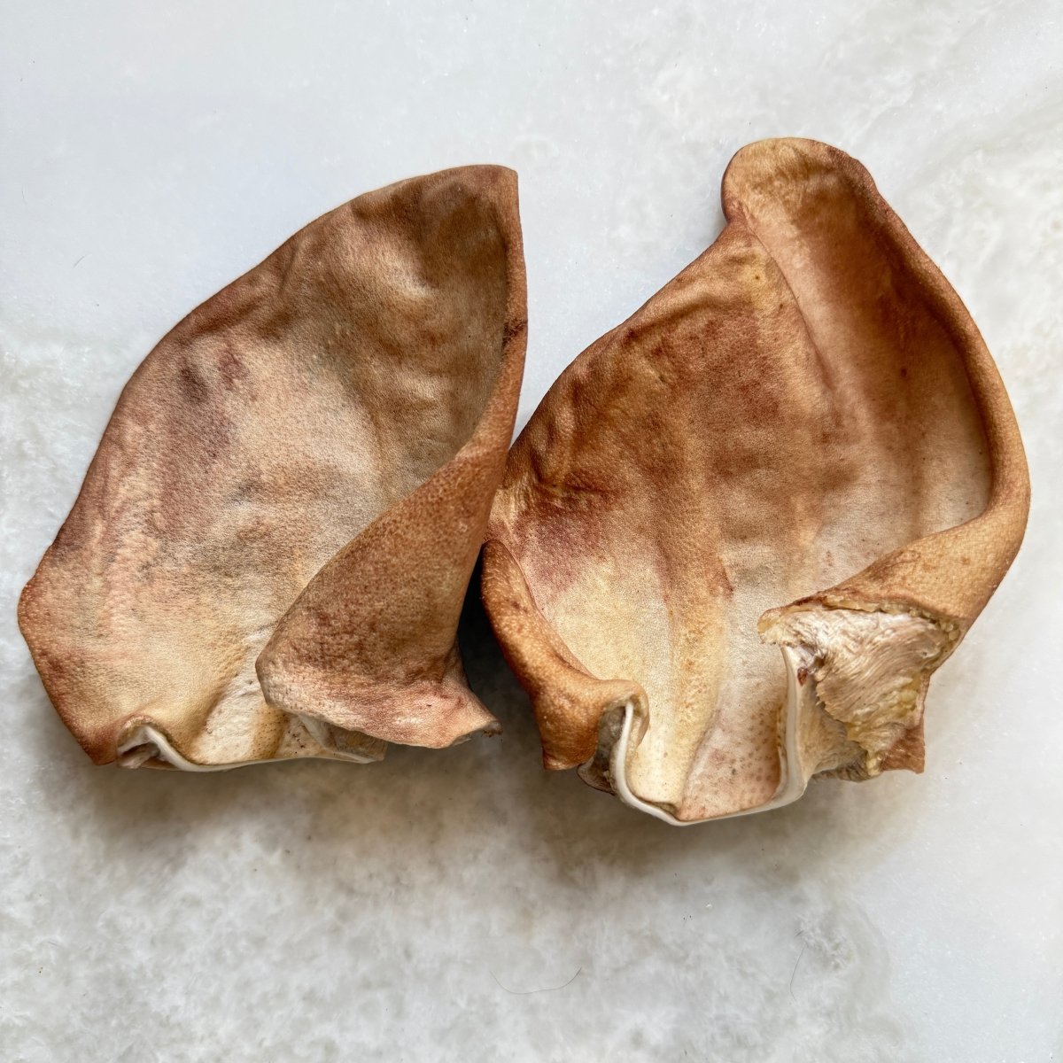 Pig Ear