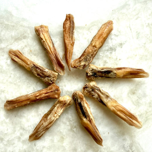 Duck Tongues