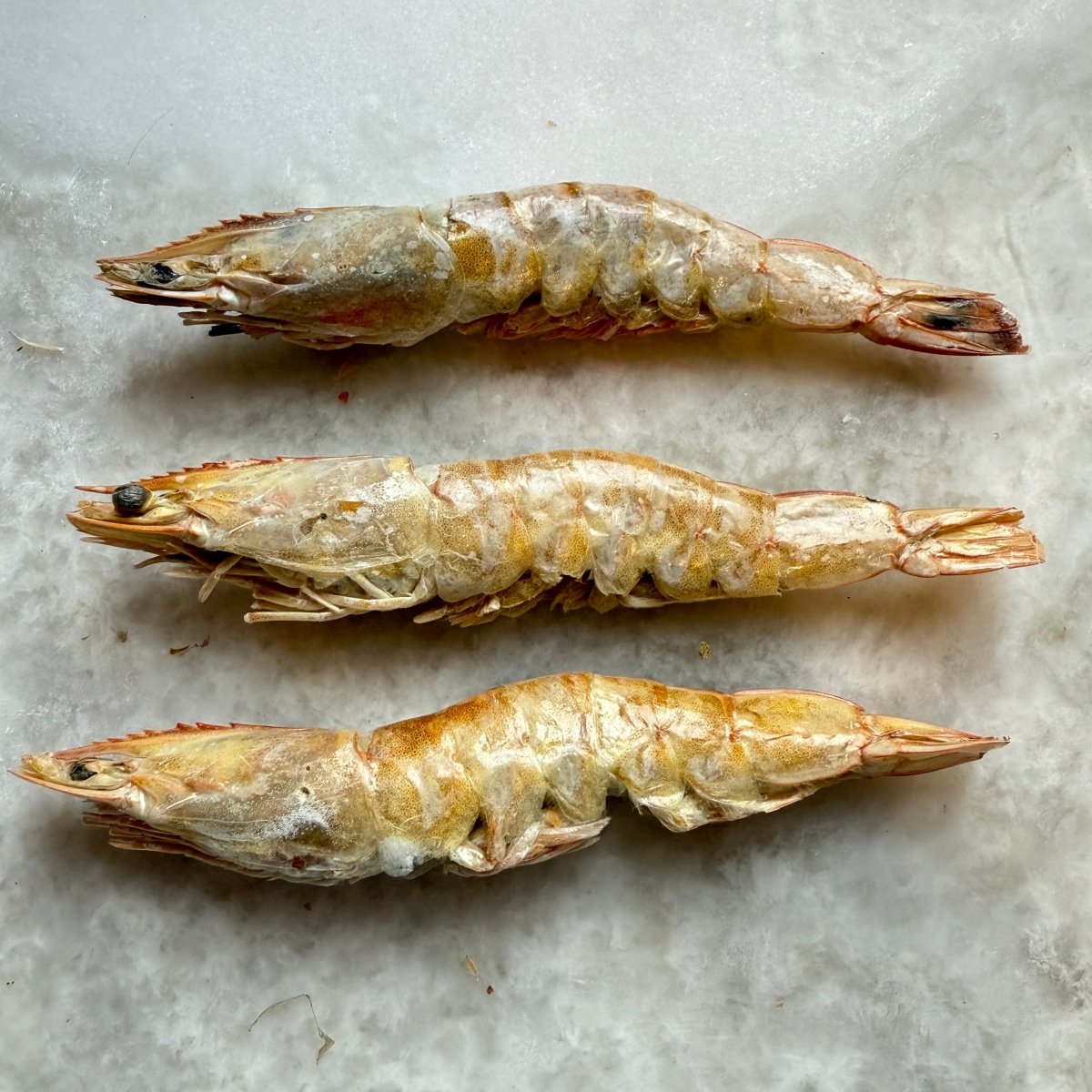 Prawns