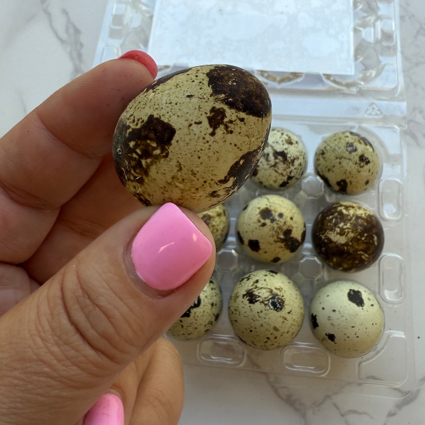 Quail Eggs