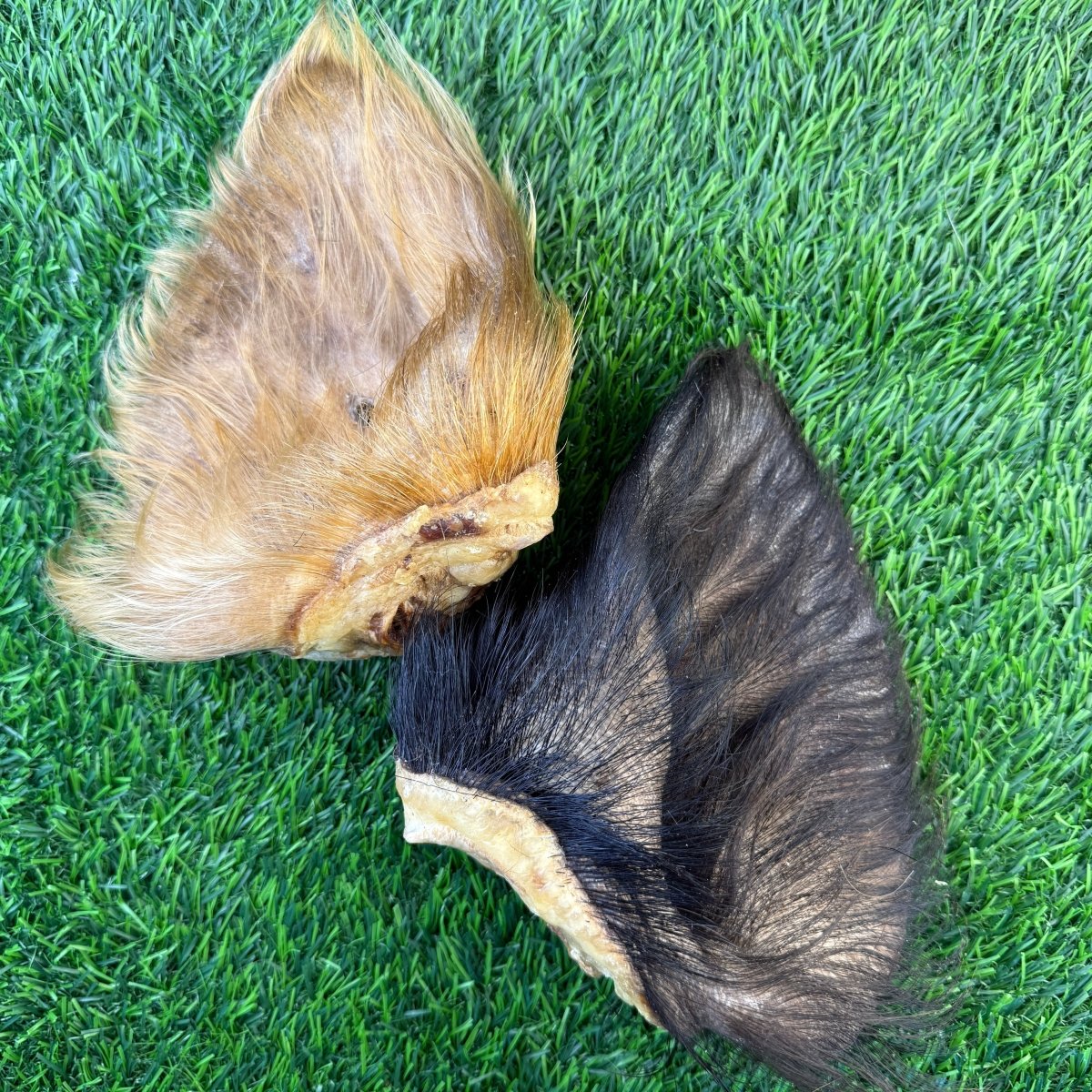 Pig Hairy Ear - Limited