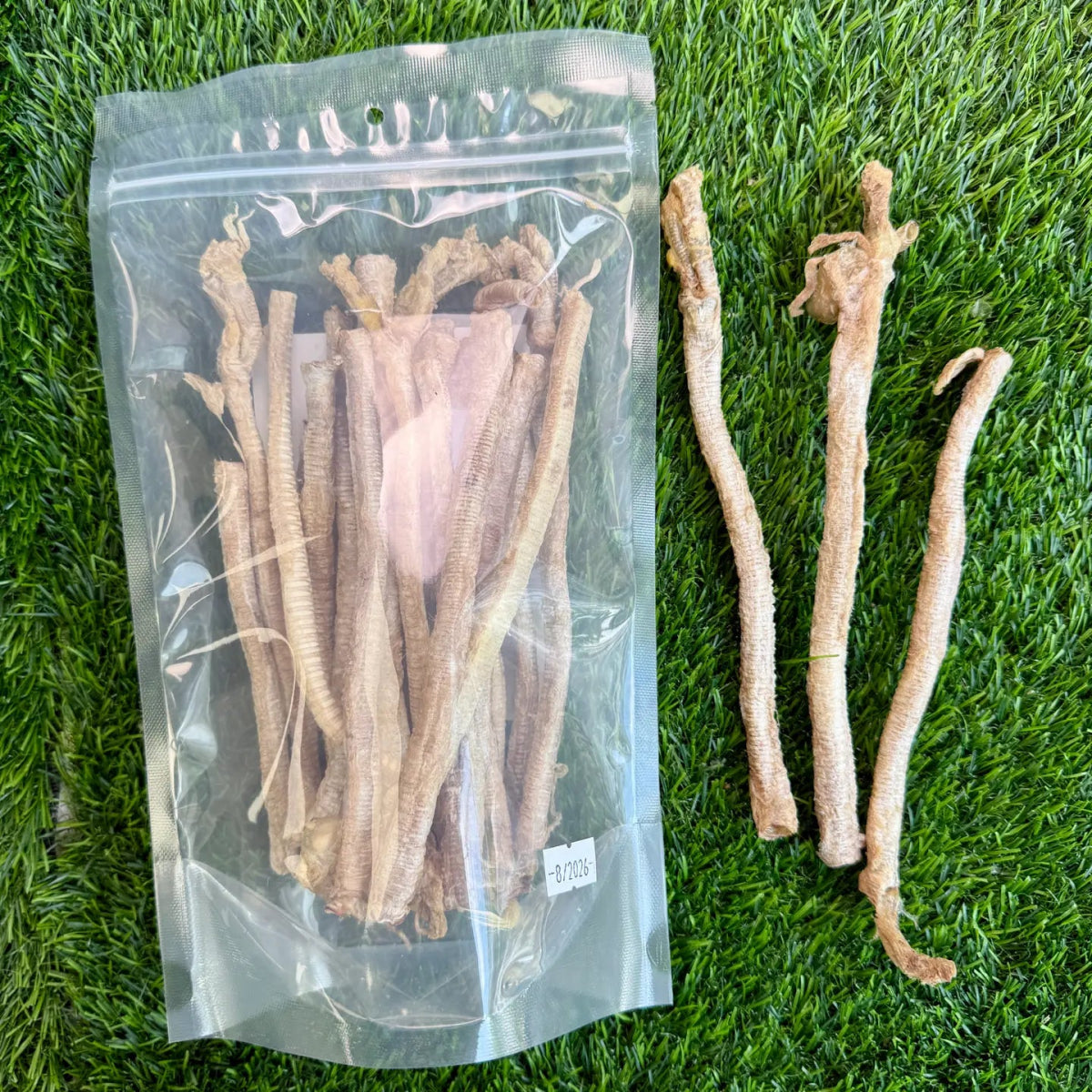 Duck Tracheas