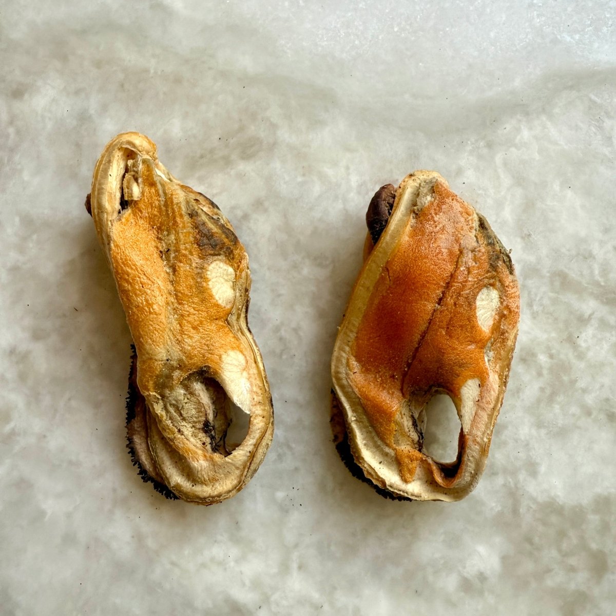 New Zealand Green-Lipped Mussels