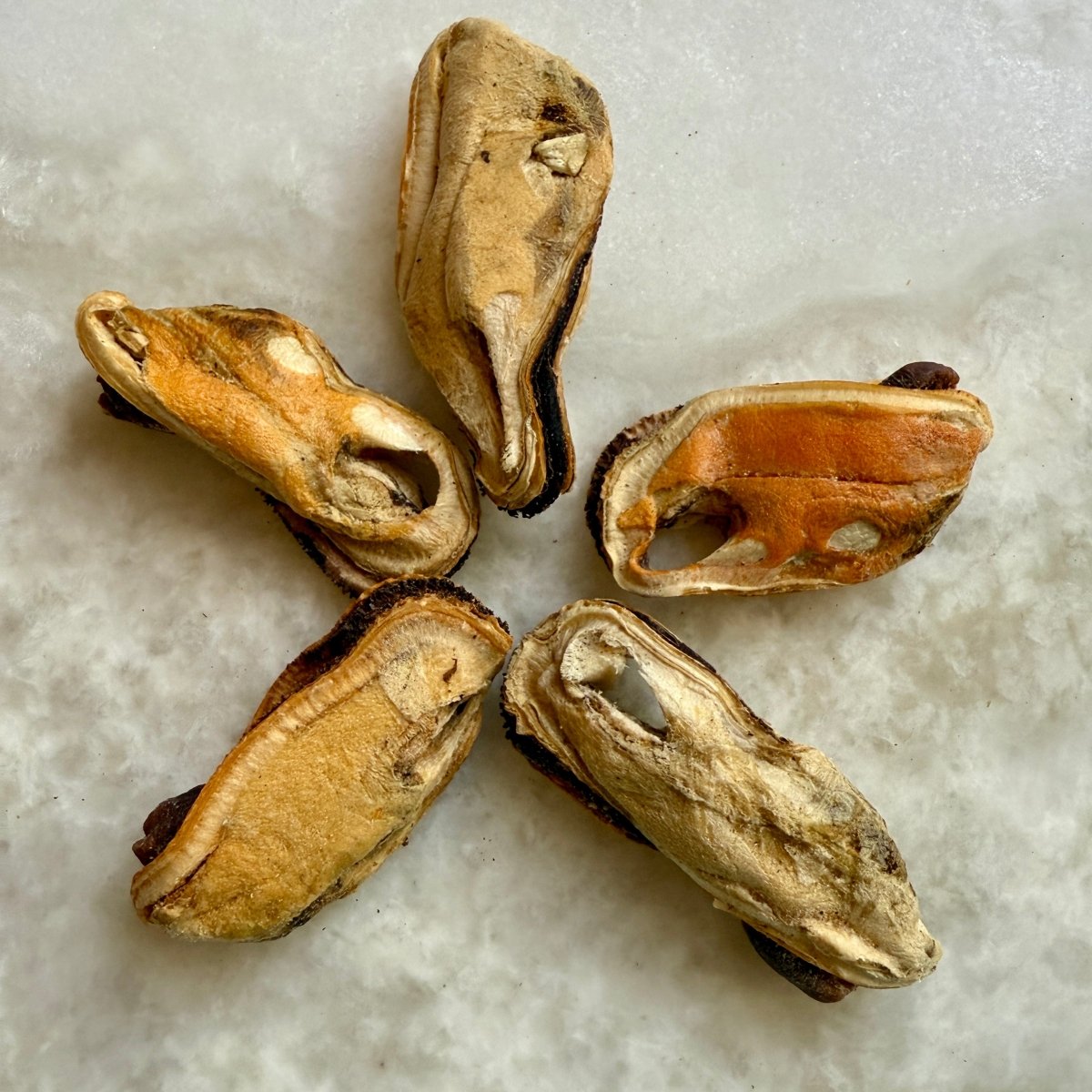 New Zealand Green-Lipped Mussels