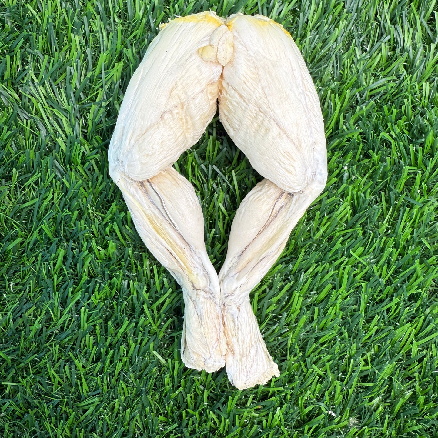 Frog Legs