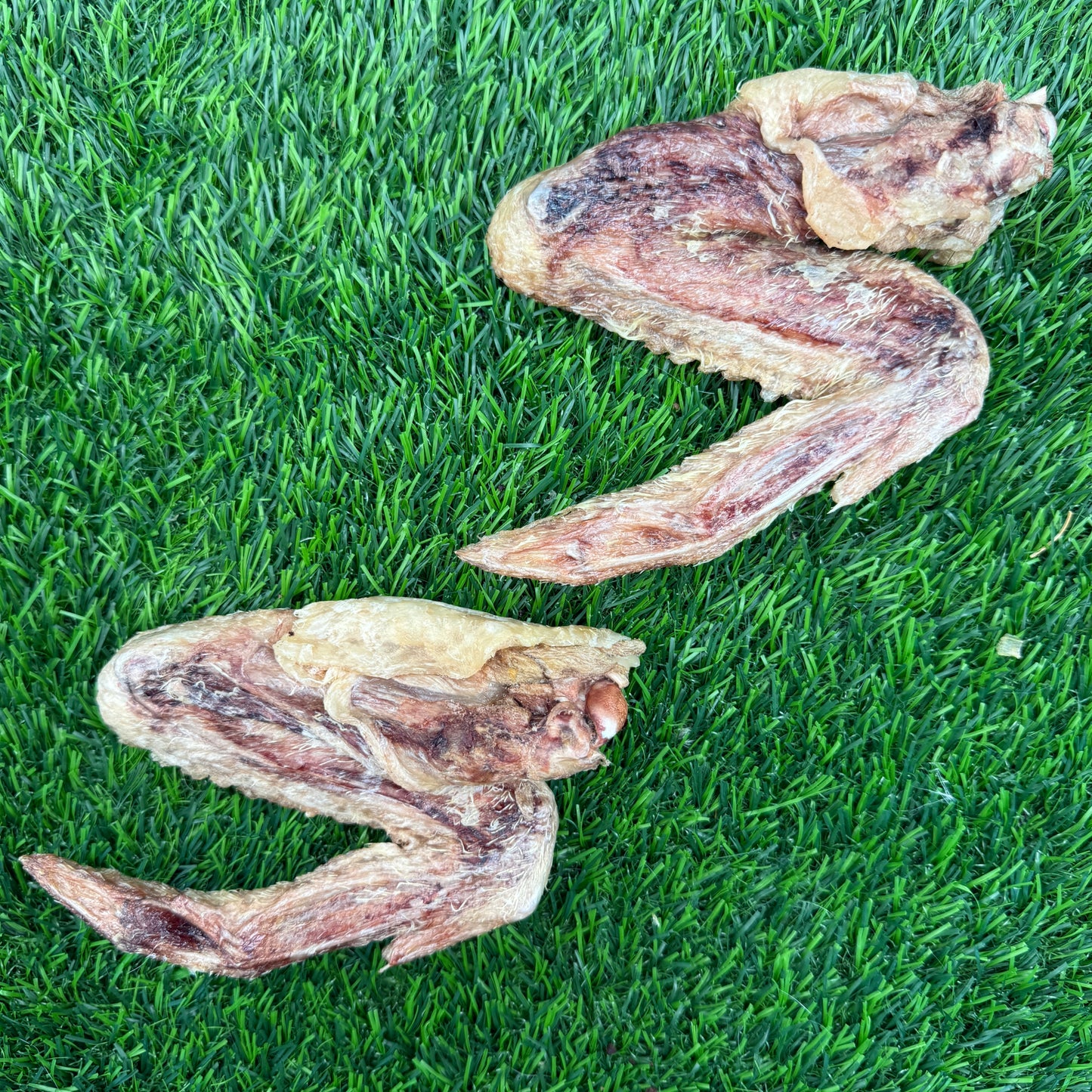 Duck Wing