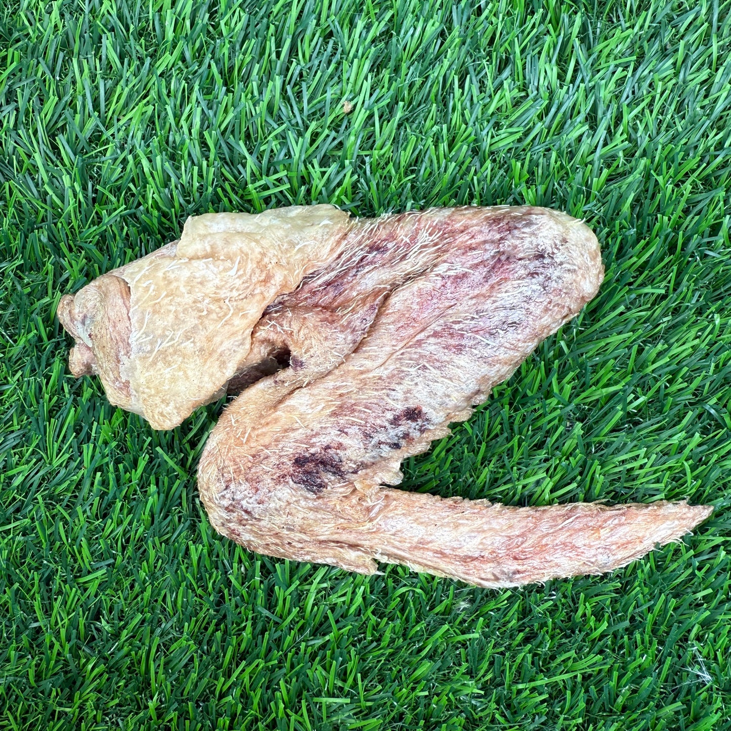 Duck Wing