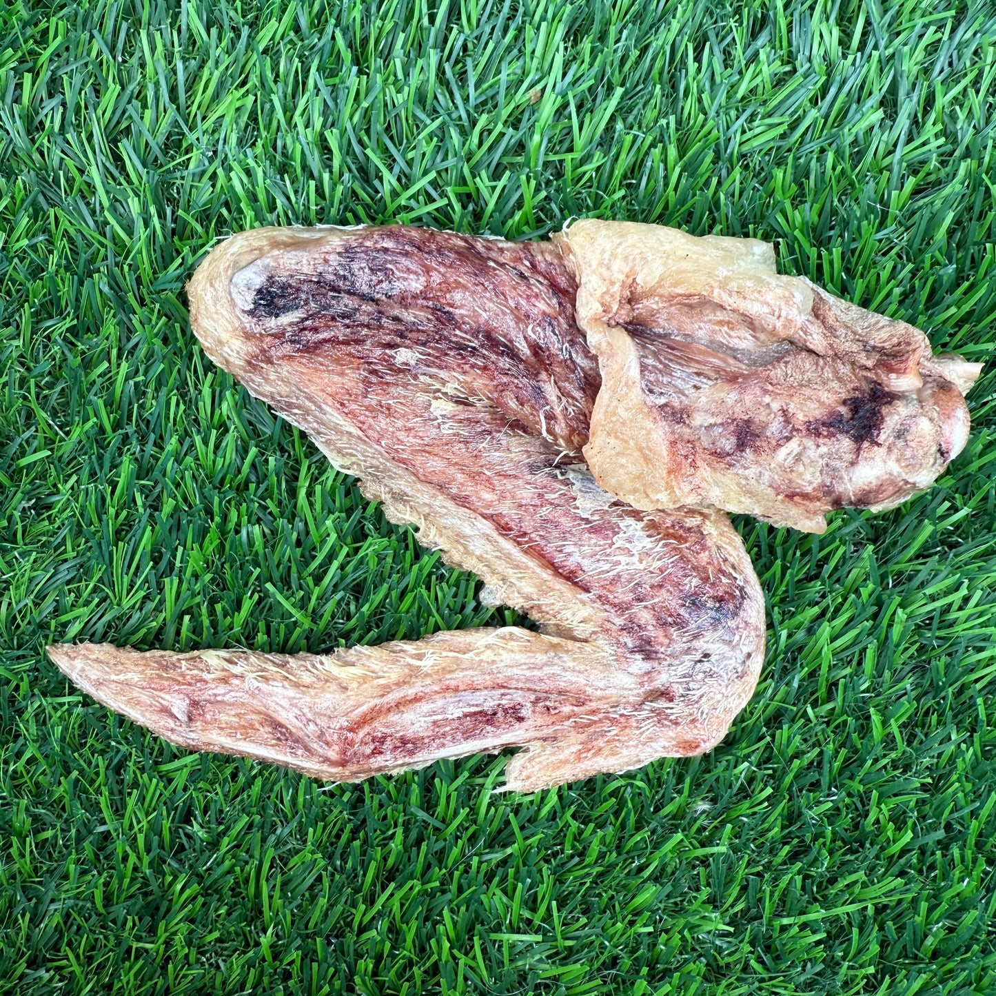 Duck Wing
