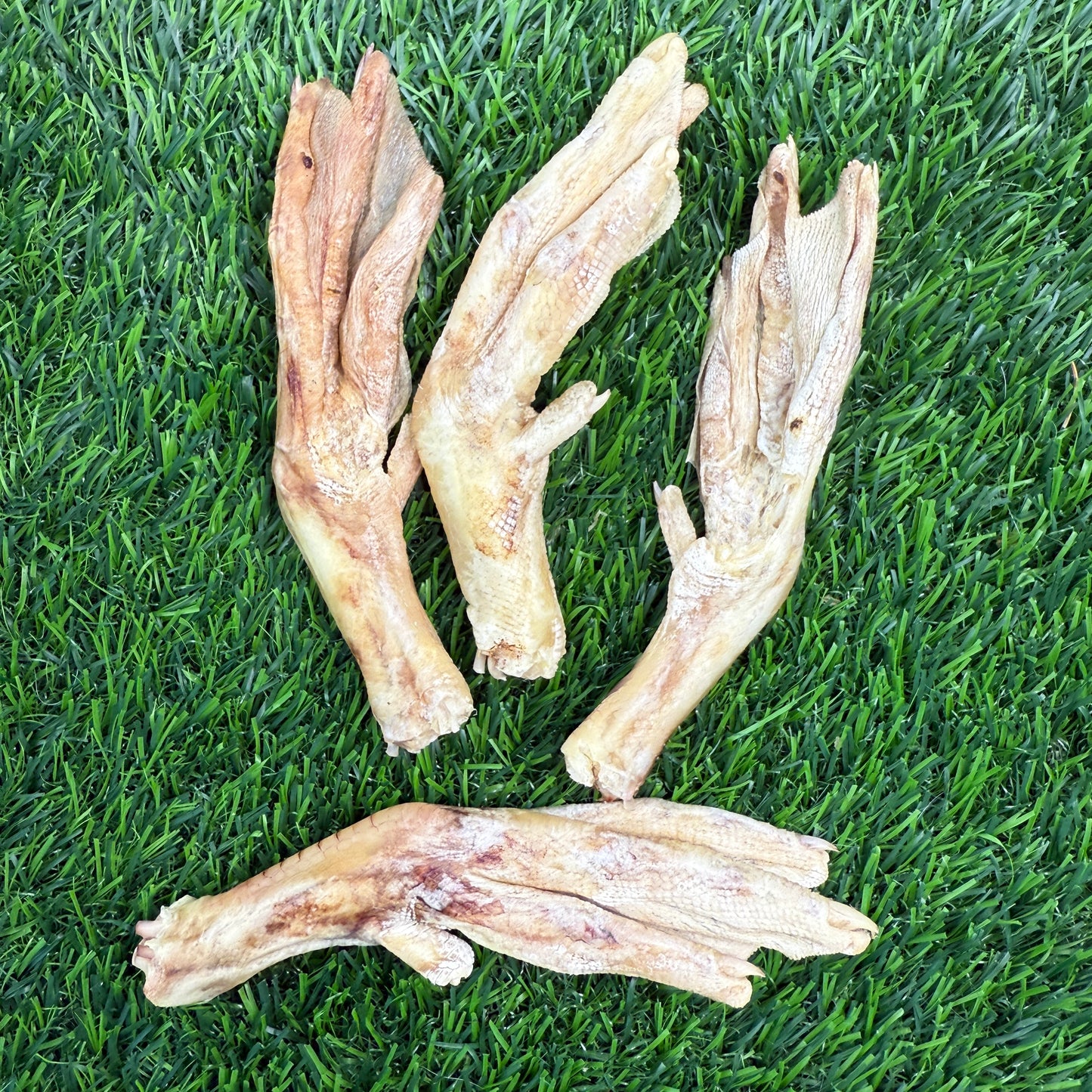 Duck Feet