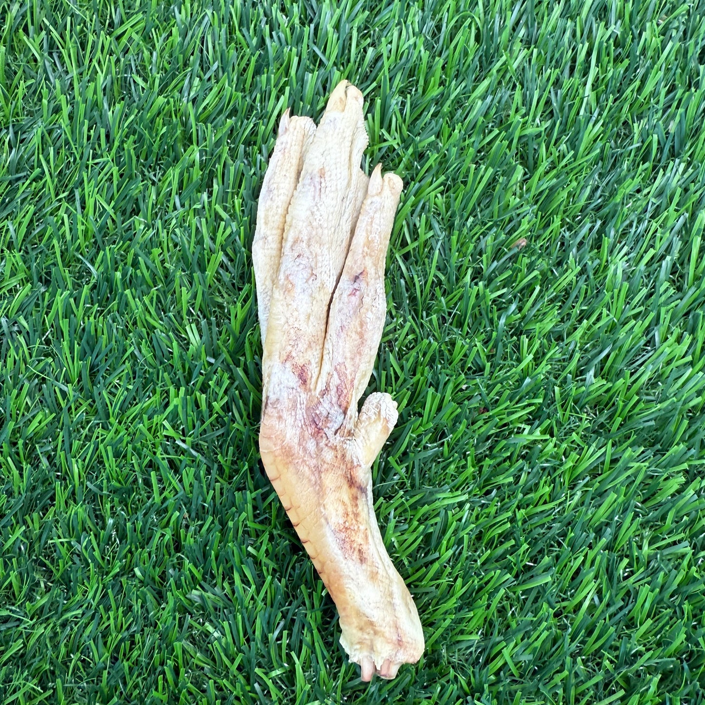 Duck Feet