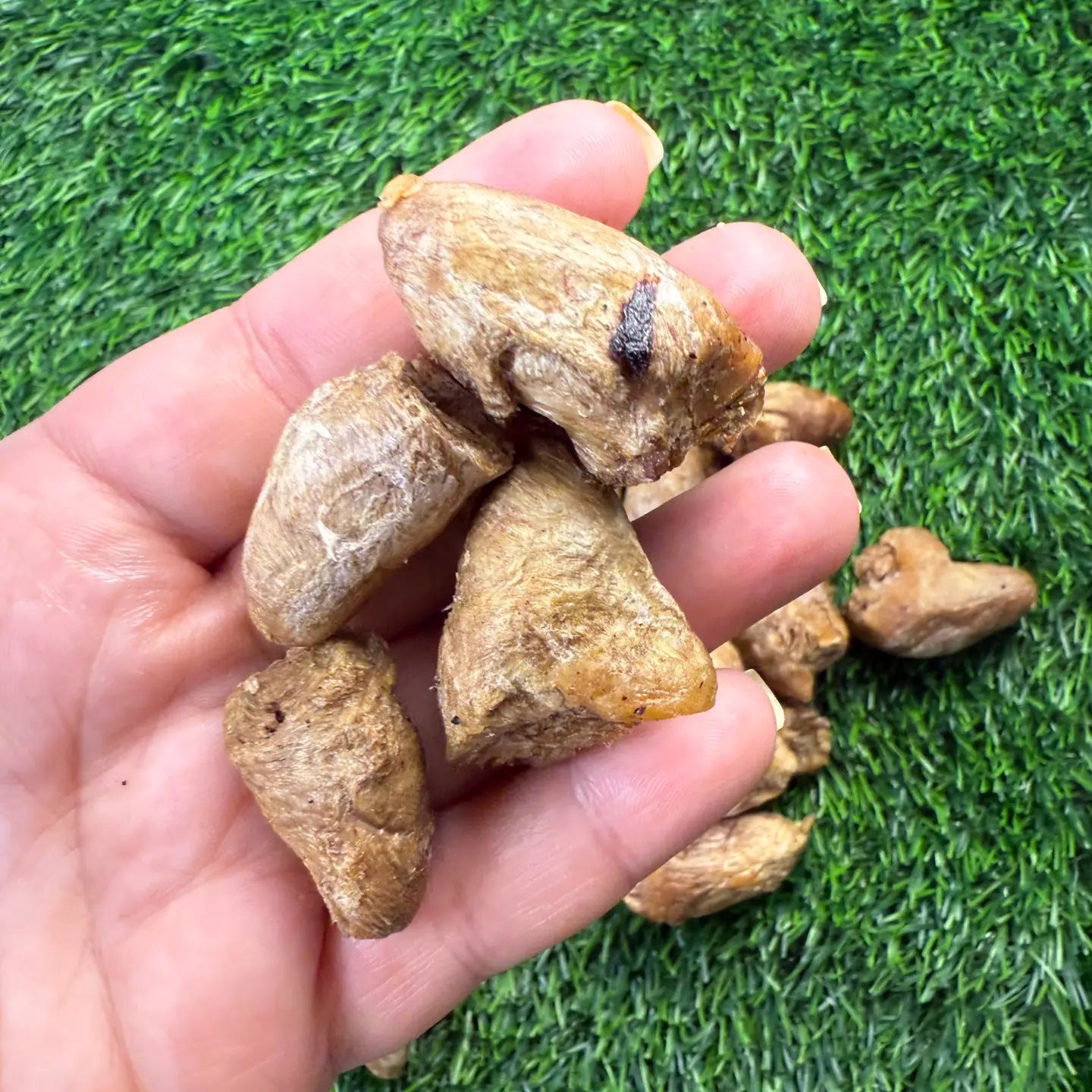 Chicken Hearts