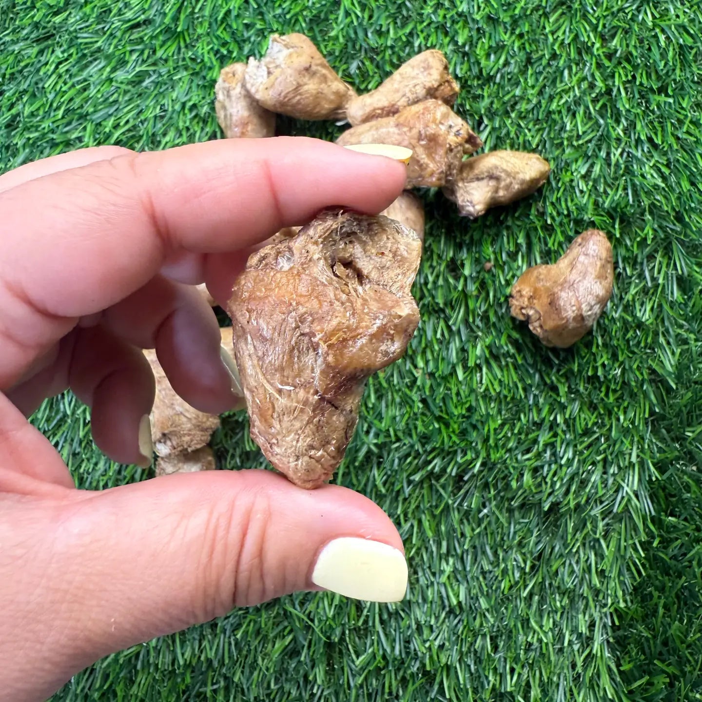Chicken Hearts