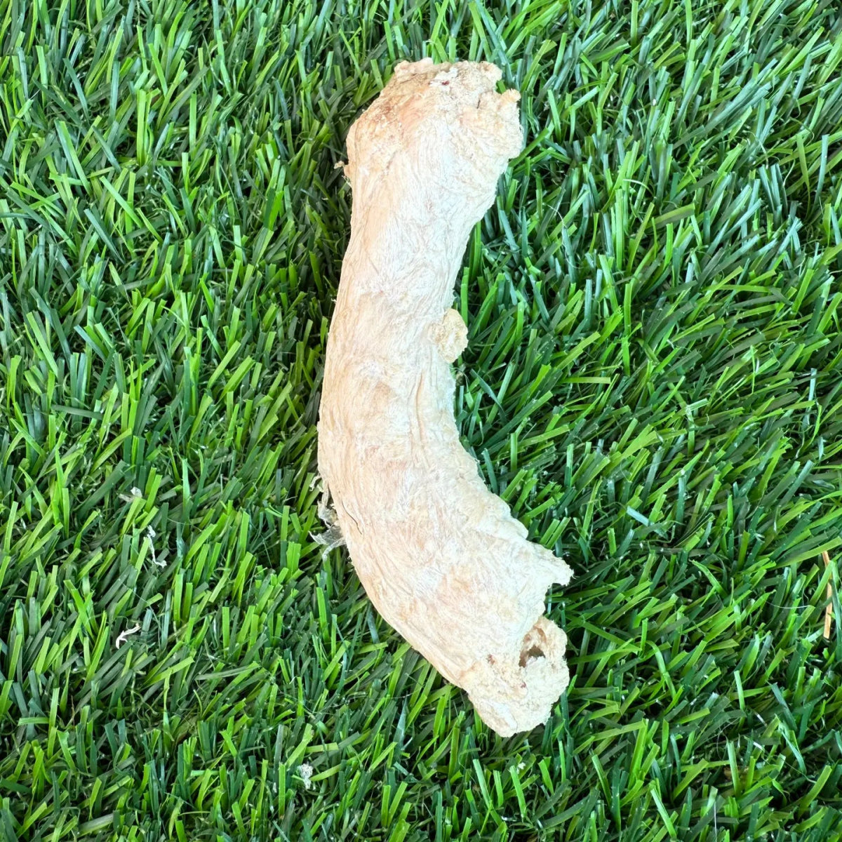 Chicken Necks