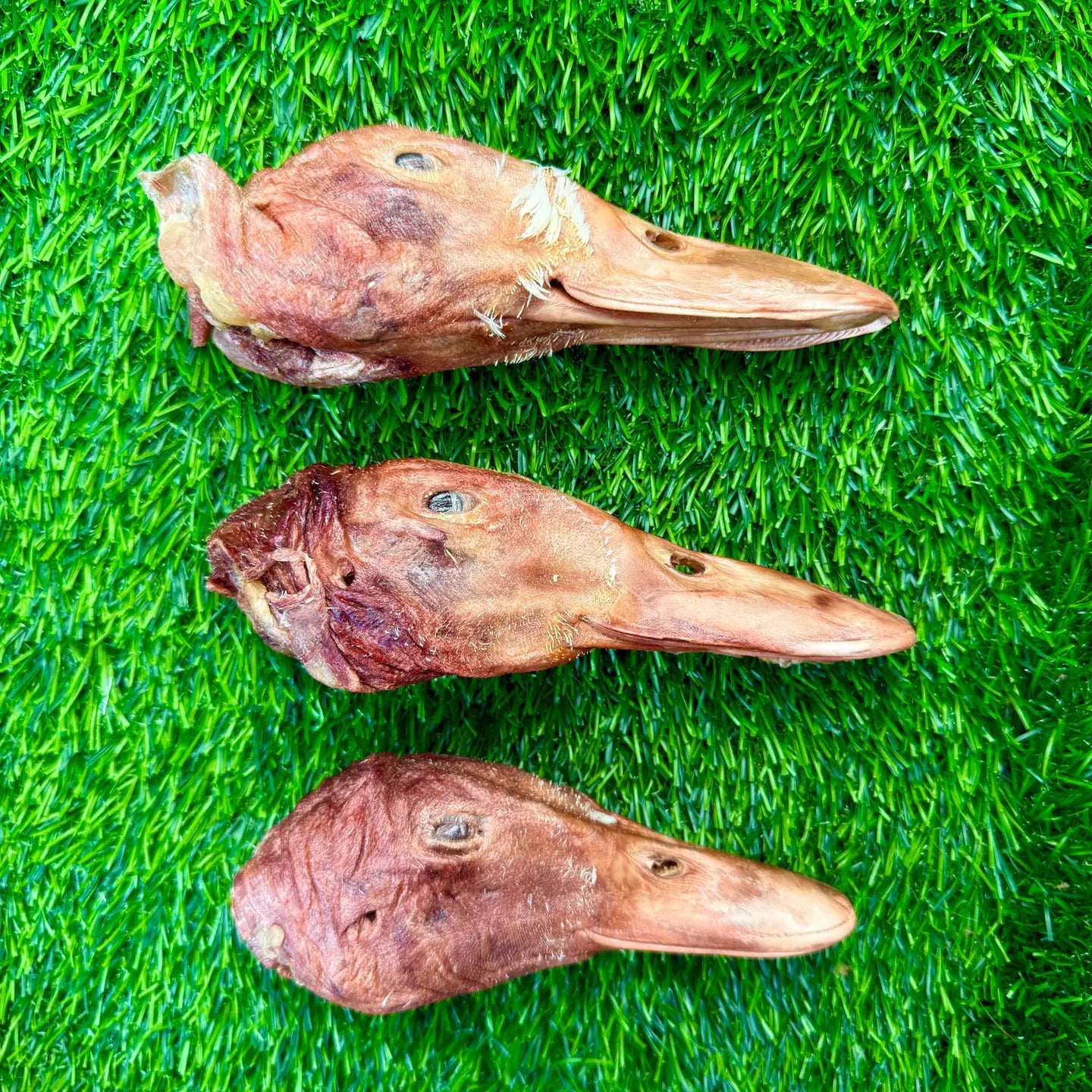 Duck Heads