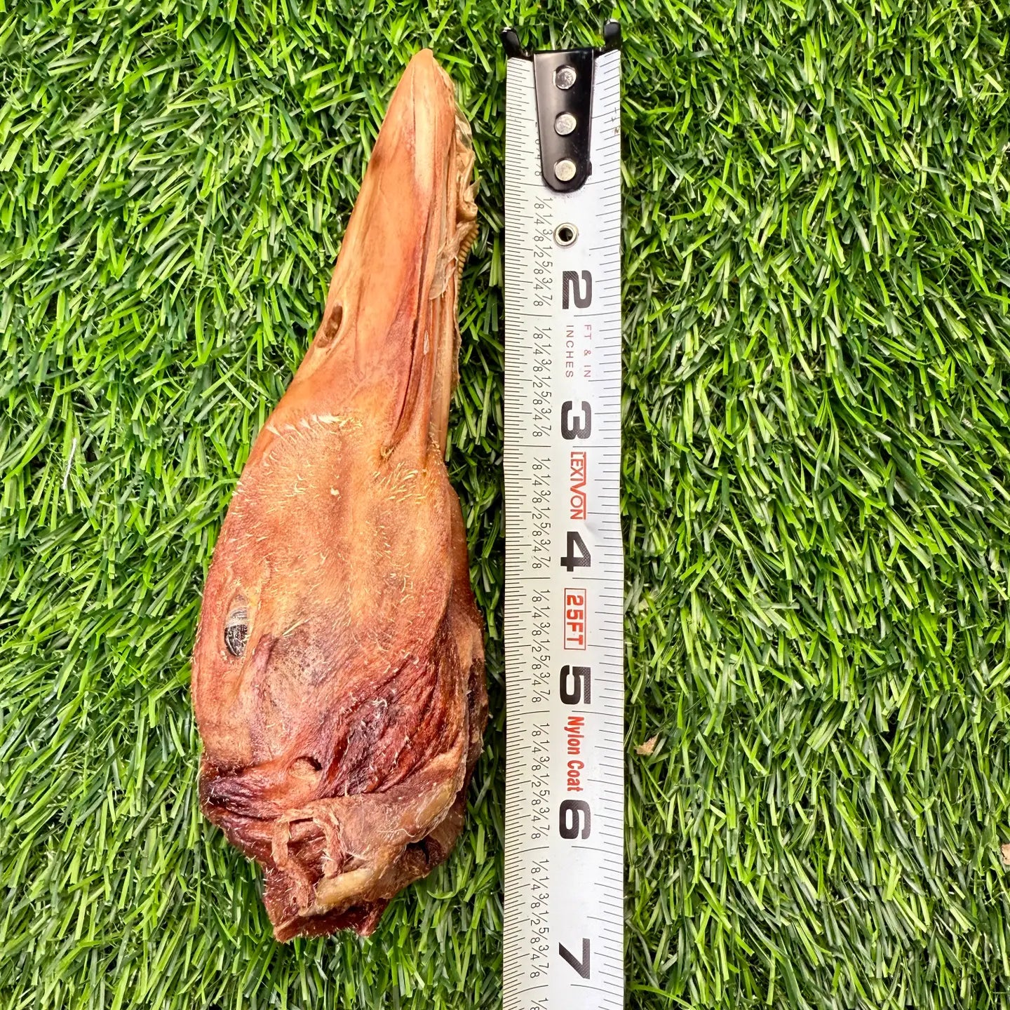 Duck Heads