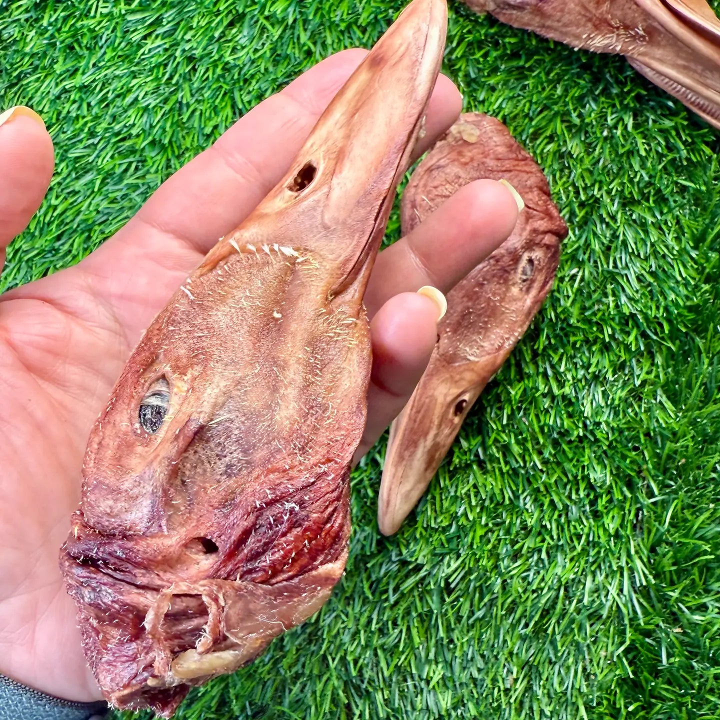 Duck Heads