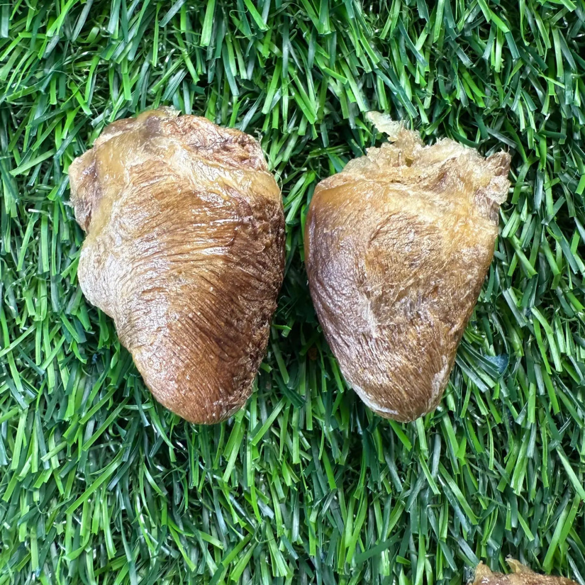 Duck Hearts