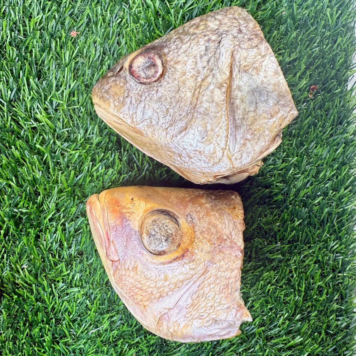 Fish Heads