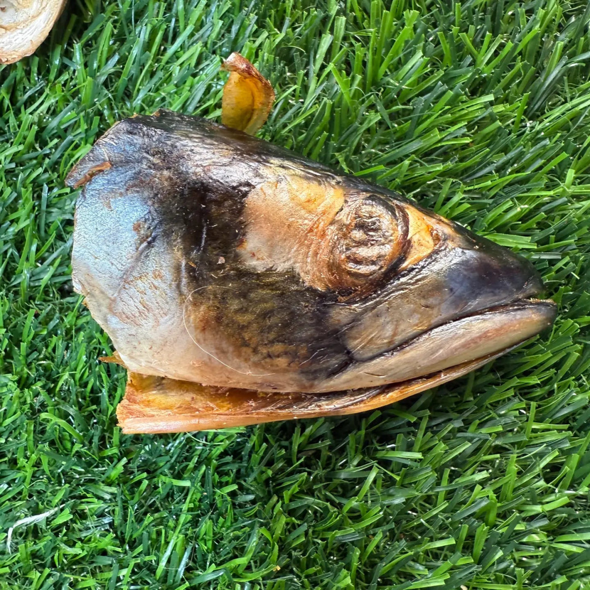 Fish Heads