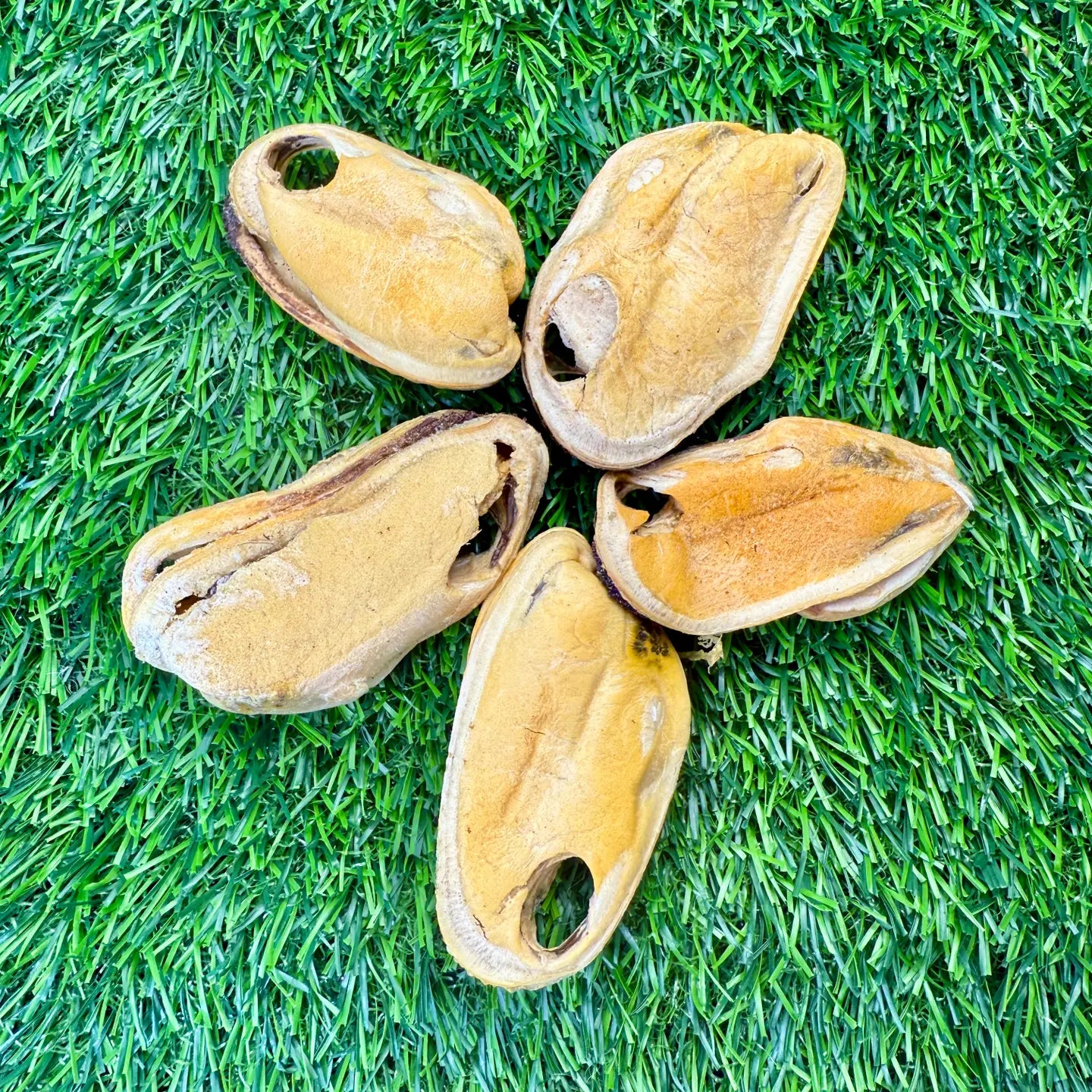 New Zealand Green-Lipped Mussels