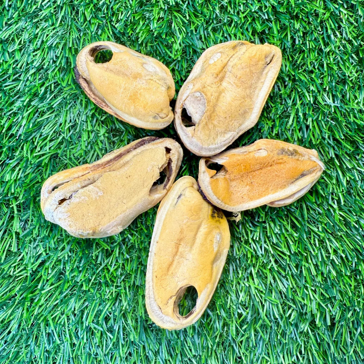 New Zealand Green-Lipped Mussels