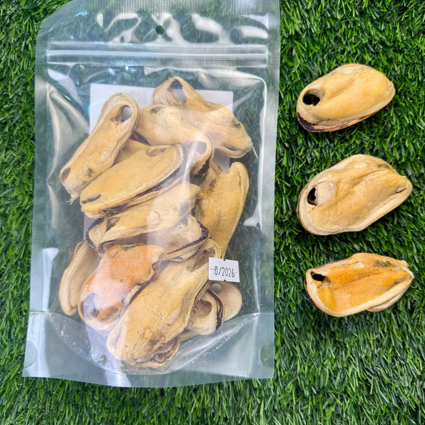 New Zealand Green-Lipped Mussels