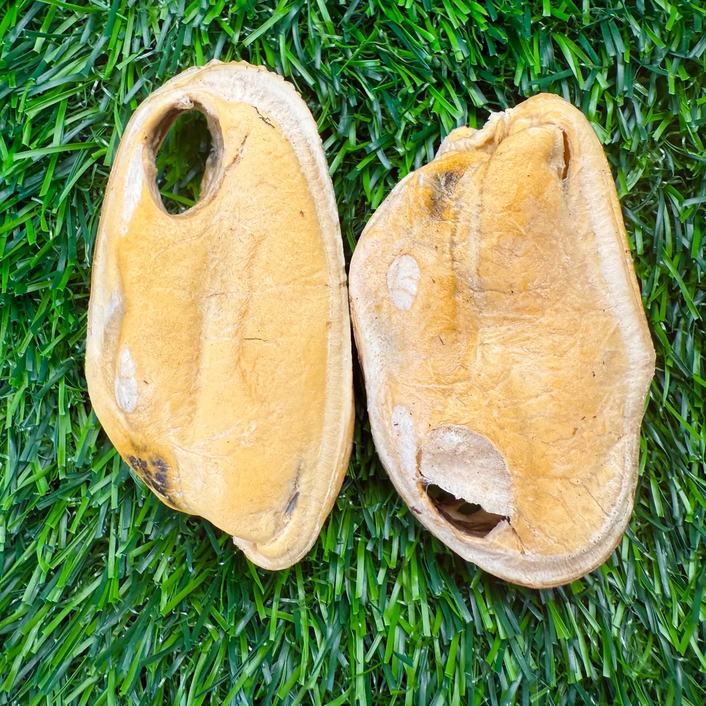 New Zealand Green-Lipped Mussels