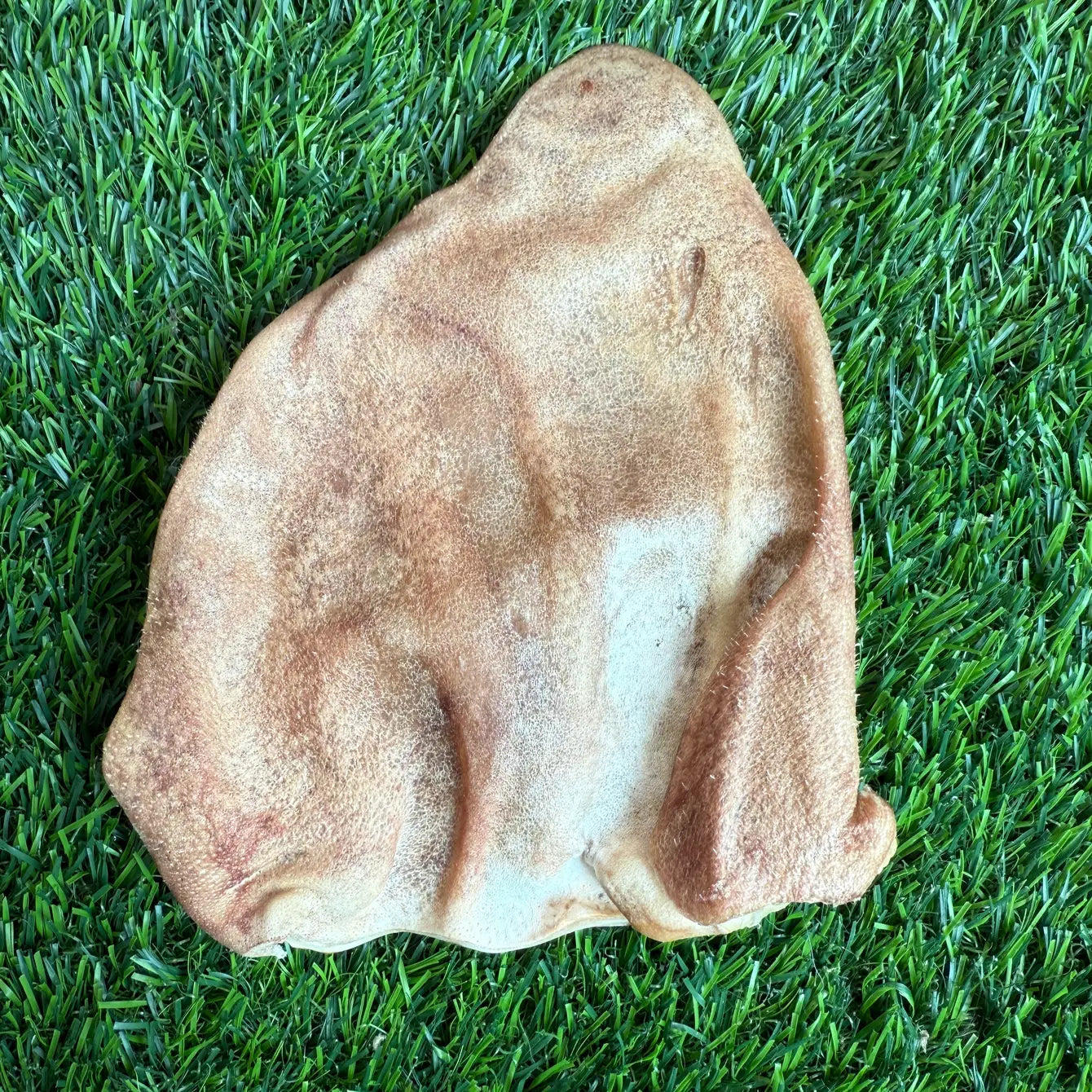 Pig Ear