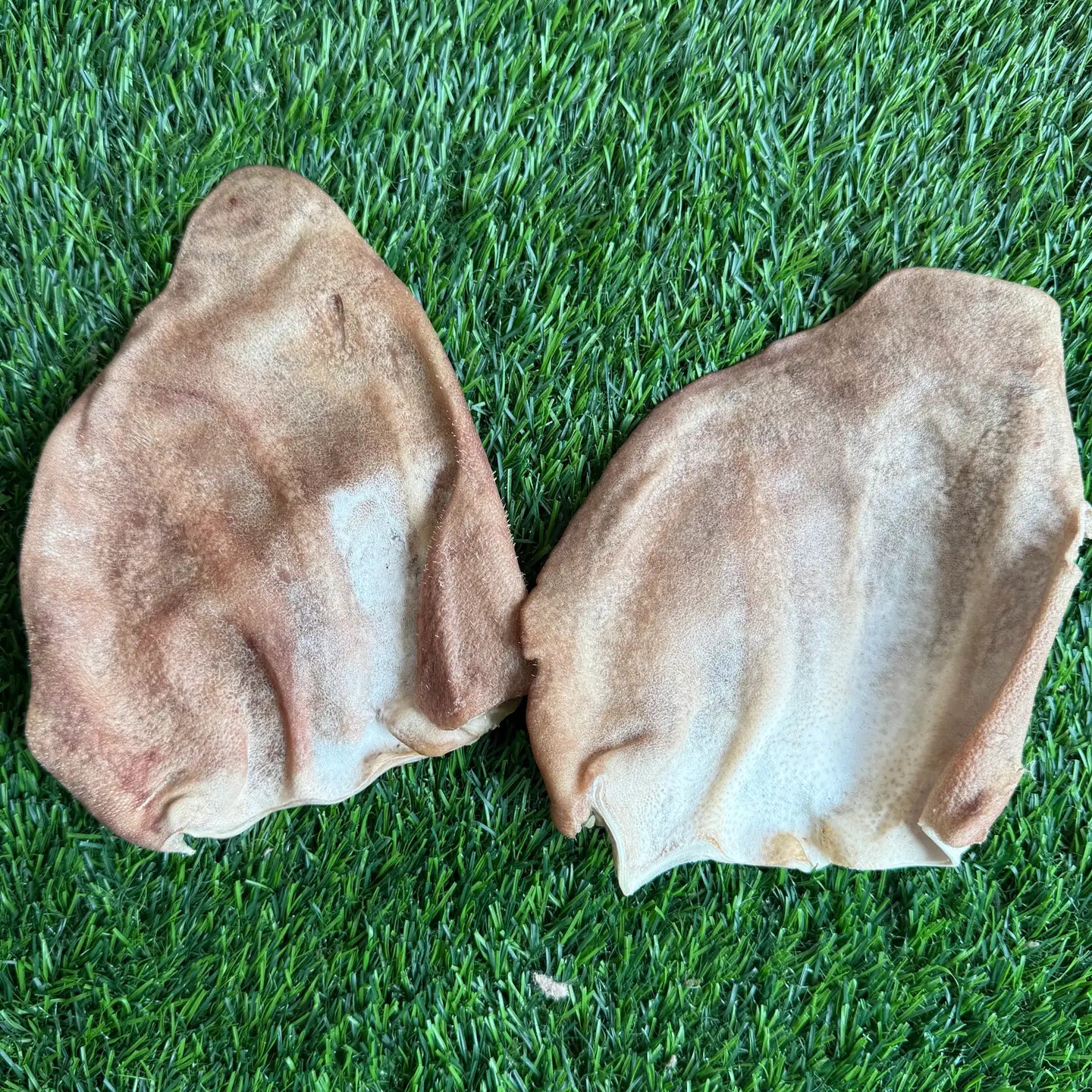 Pig Ear
