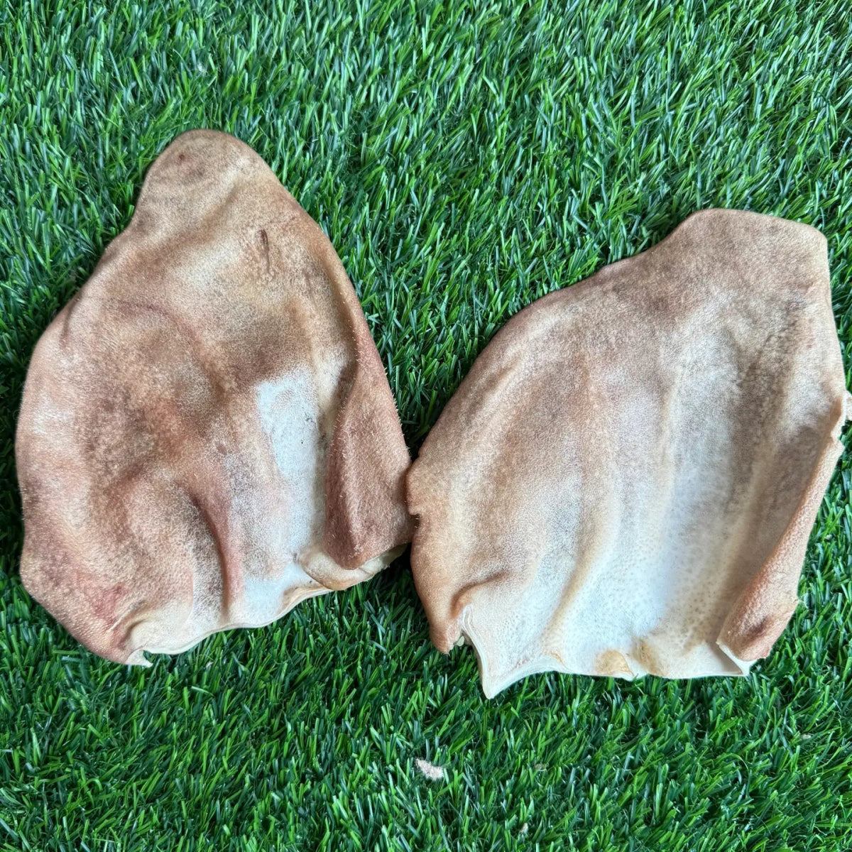Pig Ear