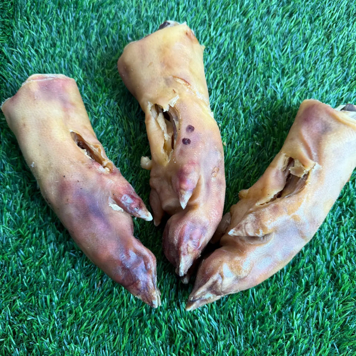 Pork trotter - For Heavy Chewers
