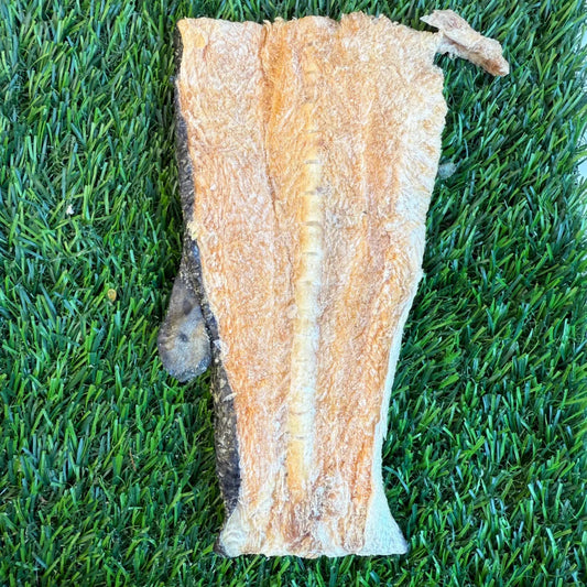 Salmon Back