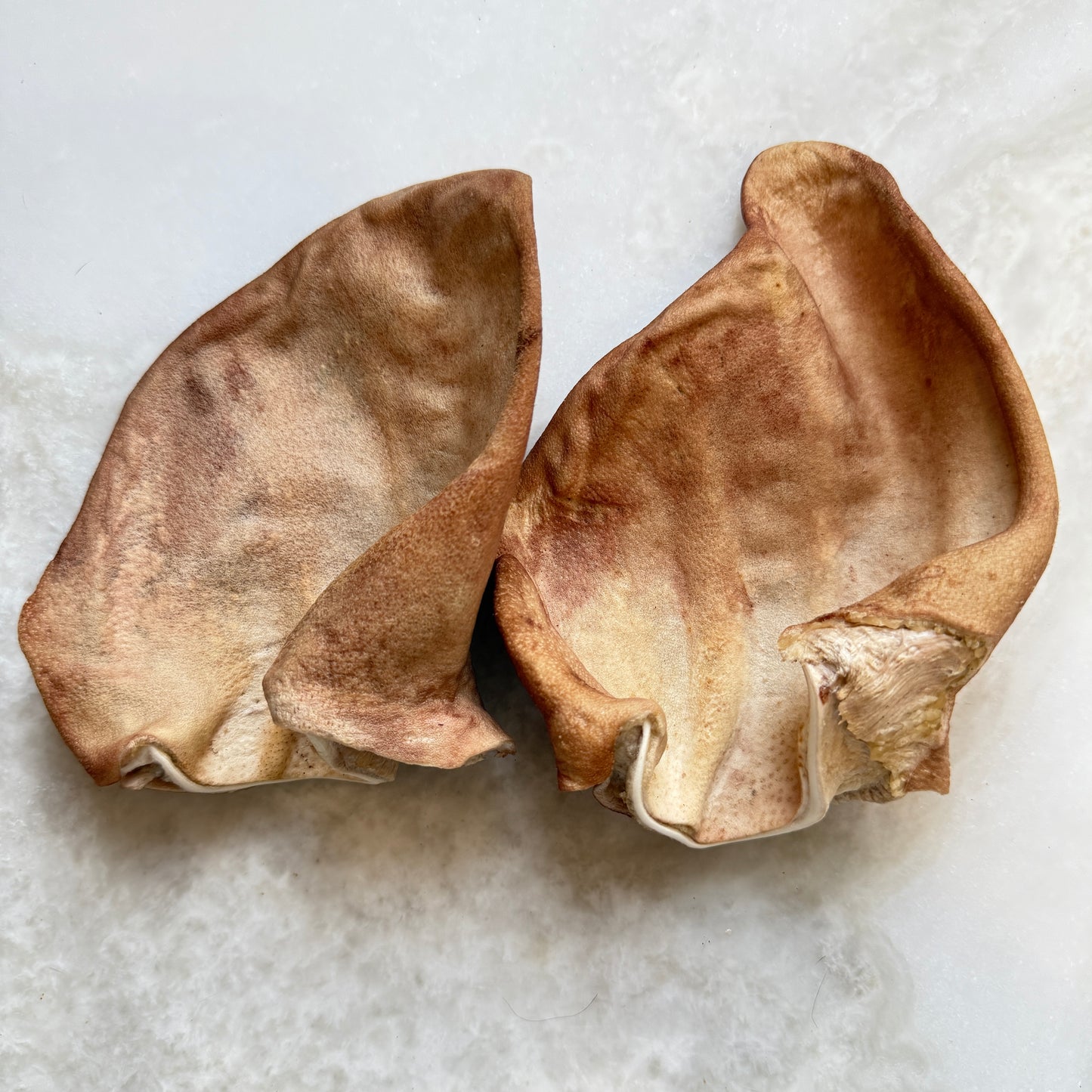 Pig Ear