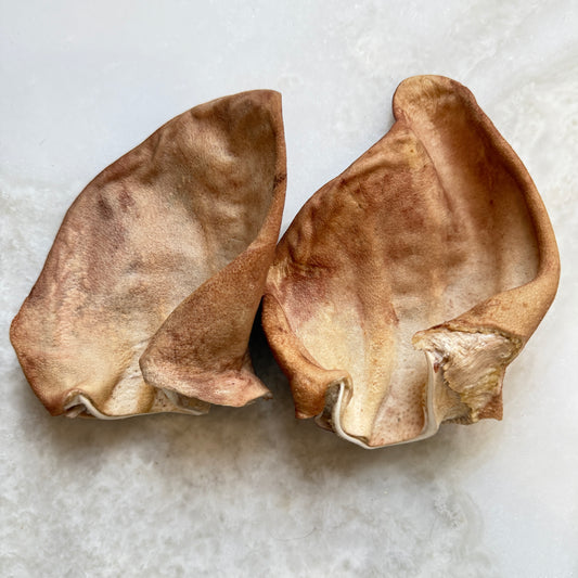 Pig Ear