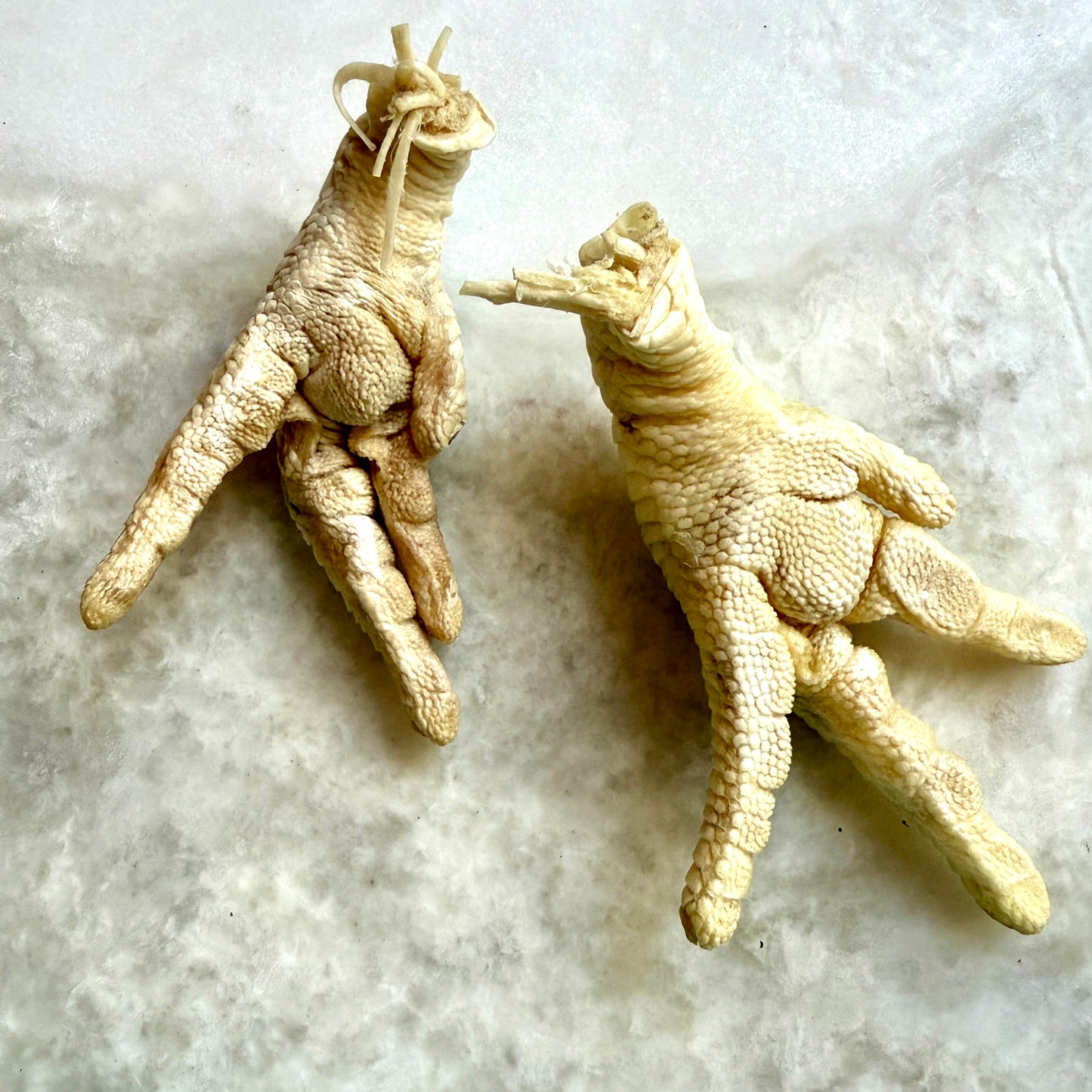 Chicken Feet - Freeze-Dried Treats for Dogs & Cats