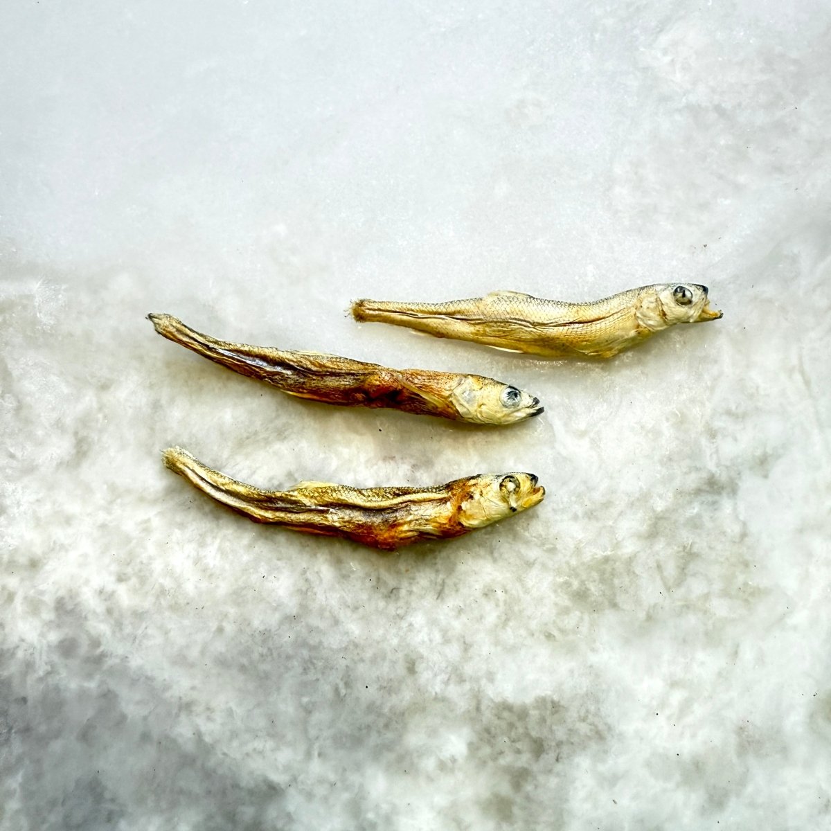Freeze-Dried Smelt
