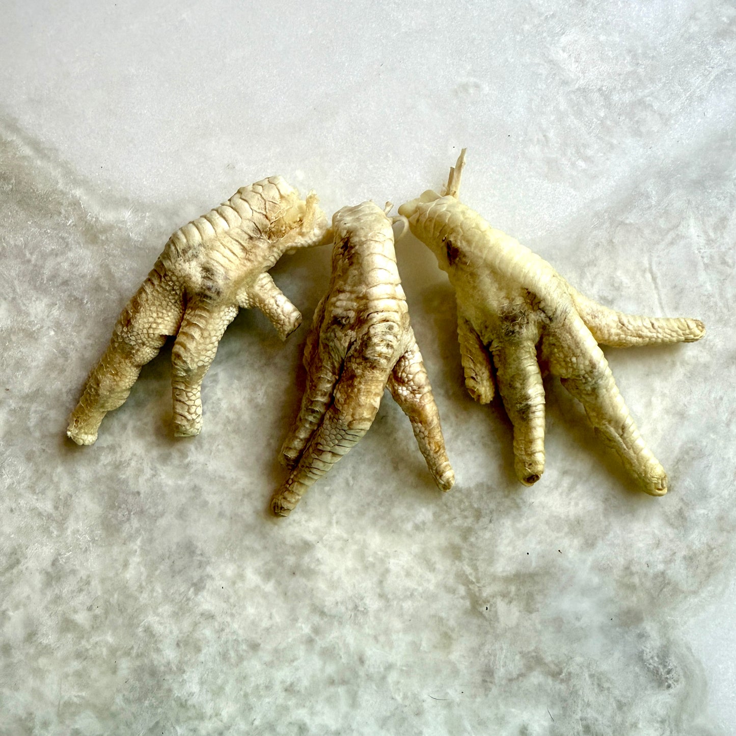 Chicken Feet - Freeze-Dried Treats for Dogs & Cats