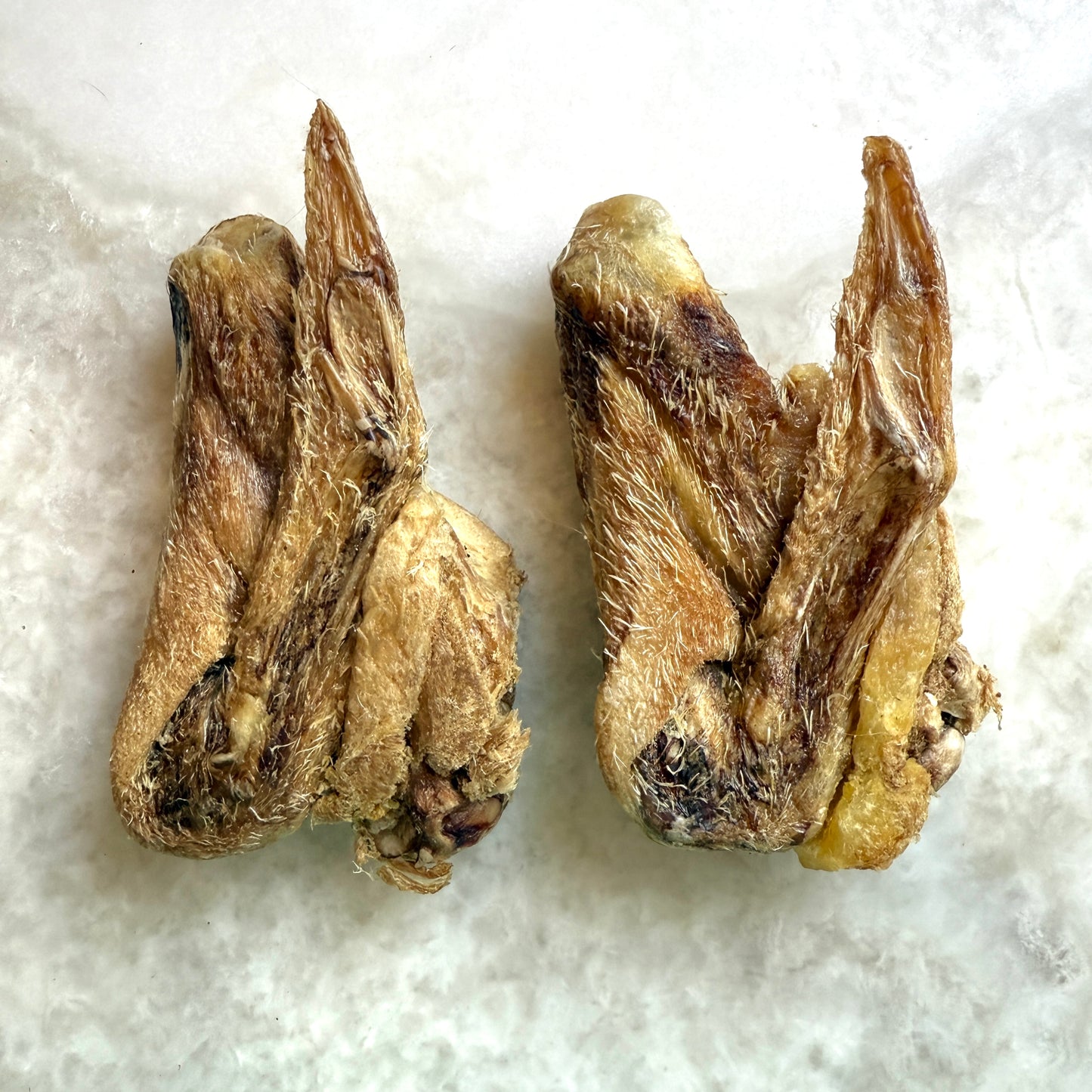 Duck Wing - Freeze-Dried Treats for Dogs & Cats