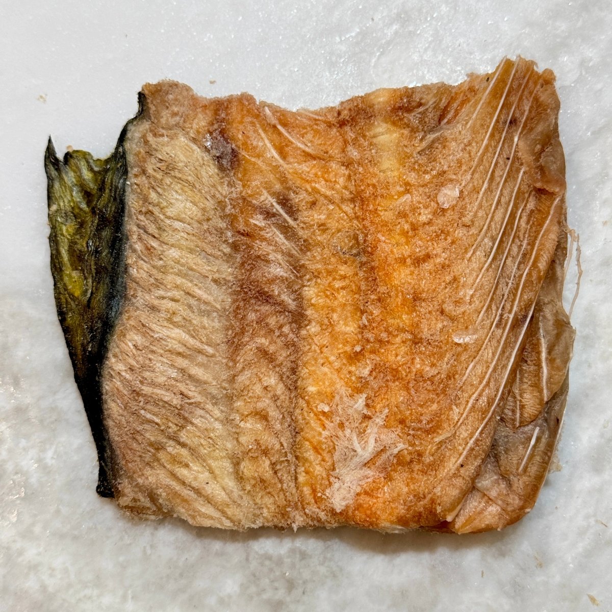 Freeze-Dried Salmon Backs