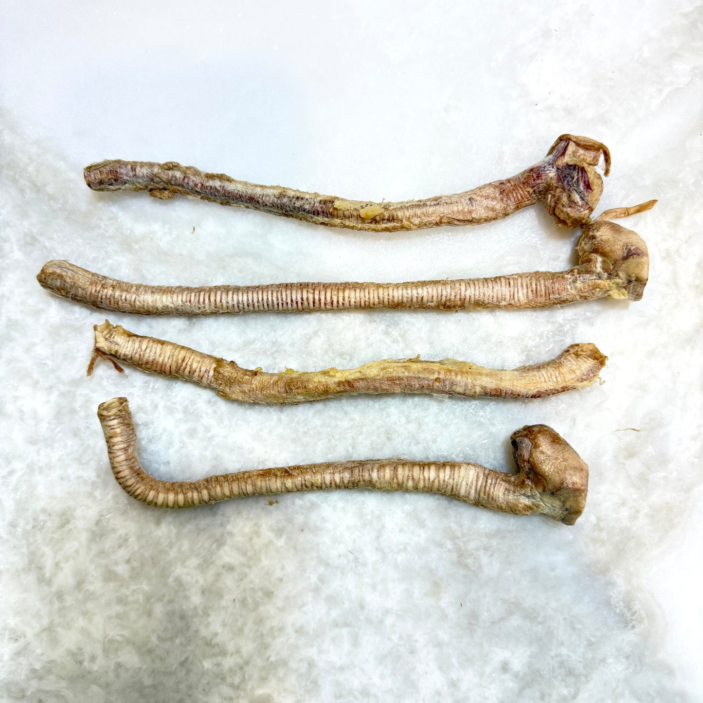 Duck Tracheas - Freeze-Dried Treats for Dogs & Cats