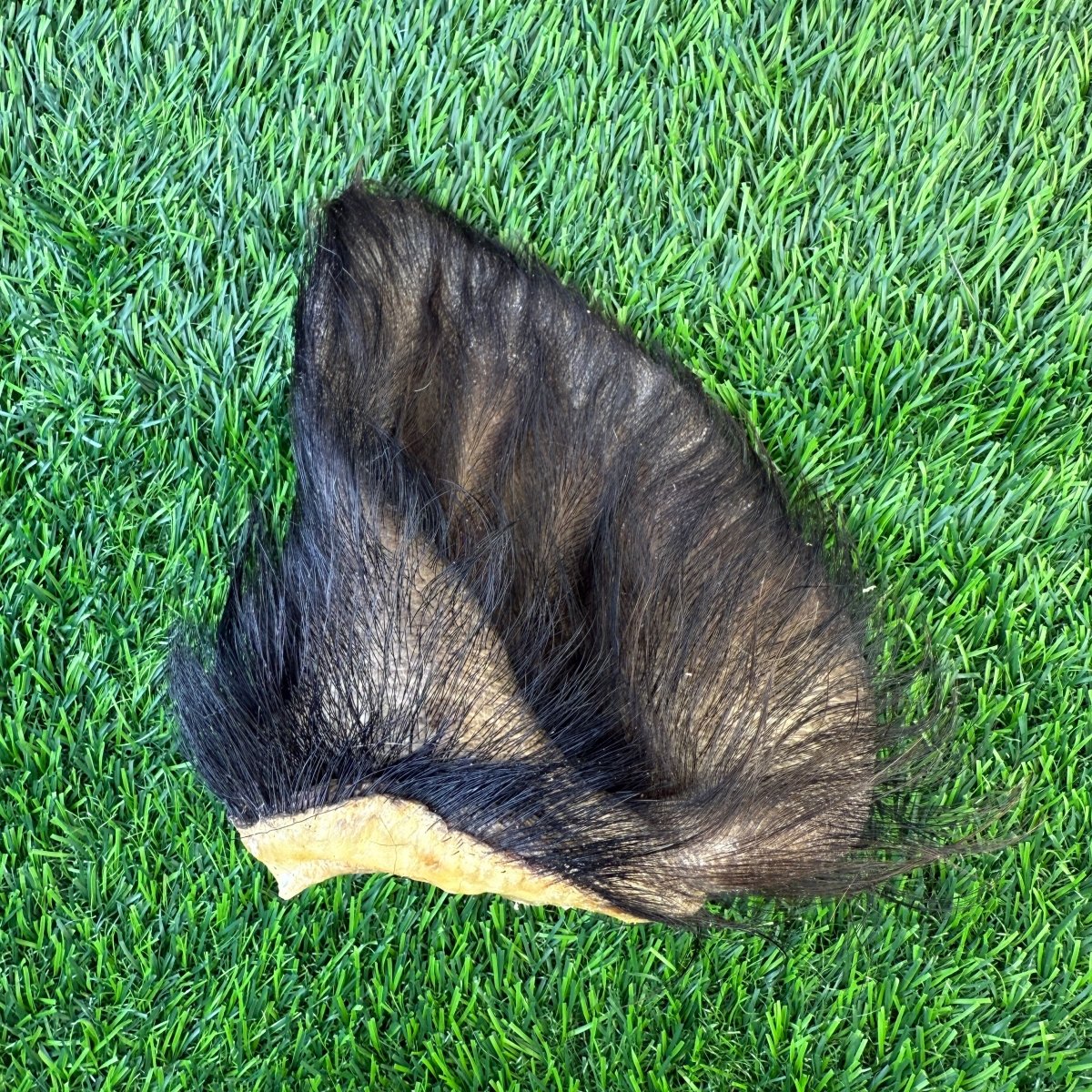 Freeze-Dried Pig Hairy Ear - Limited