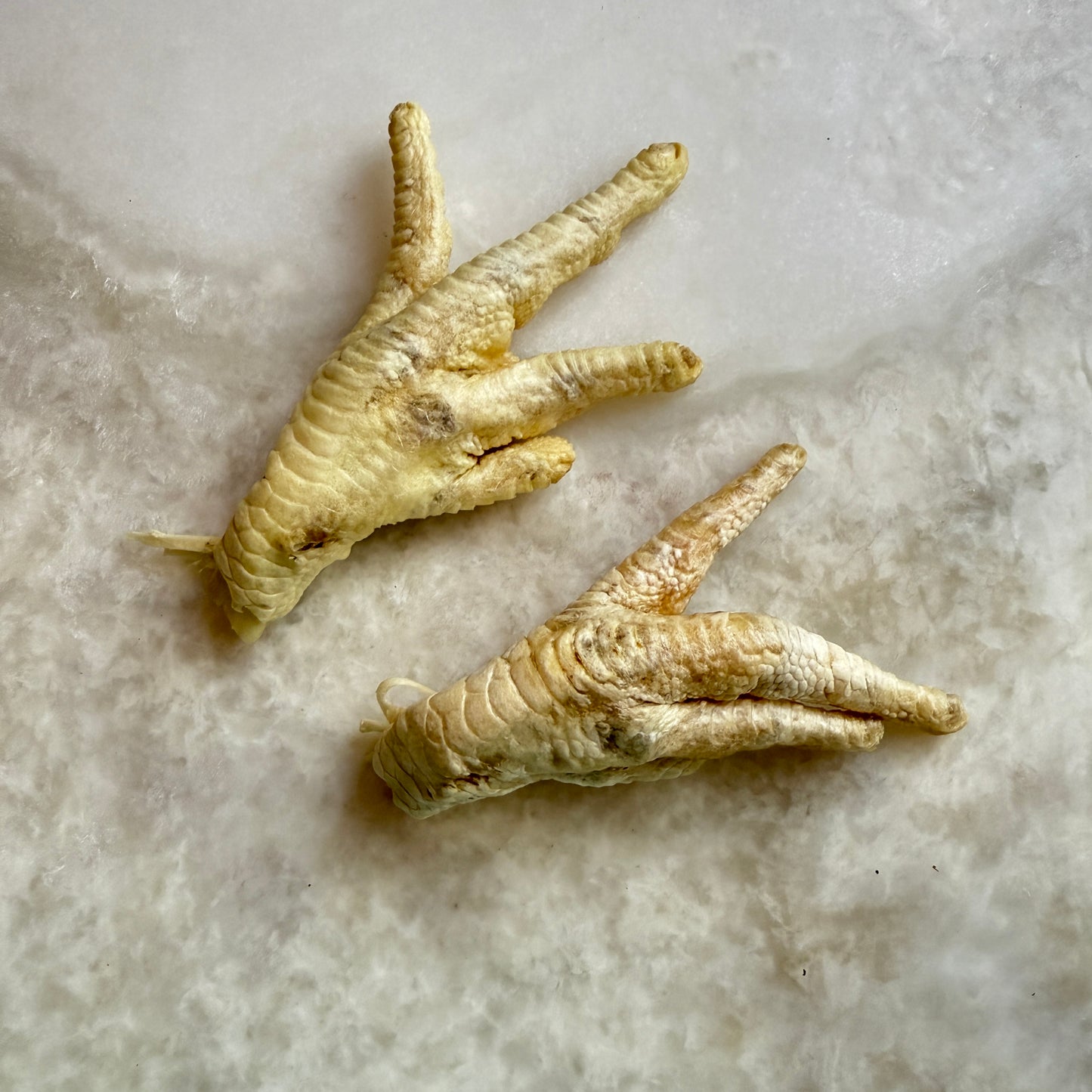 Chicken Feet - Freeze-Dried Treats for Dogs & Cats