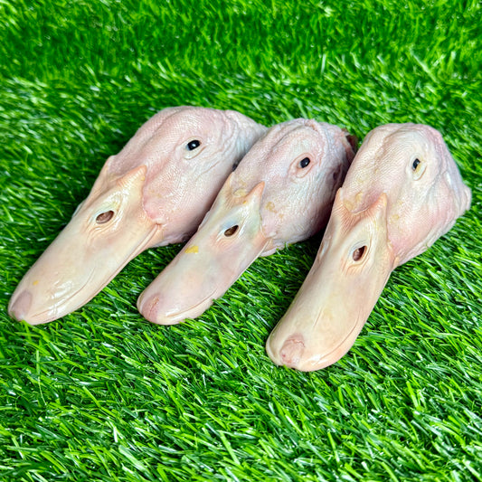 Raw Duck Heads