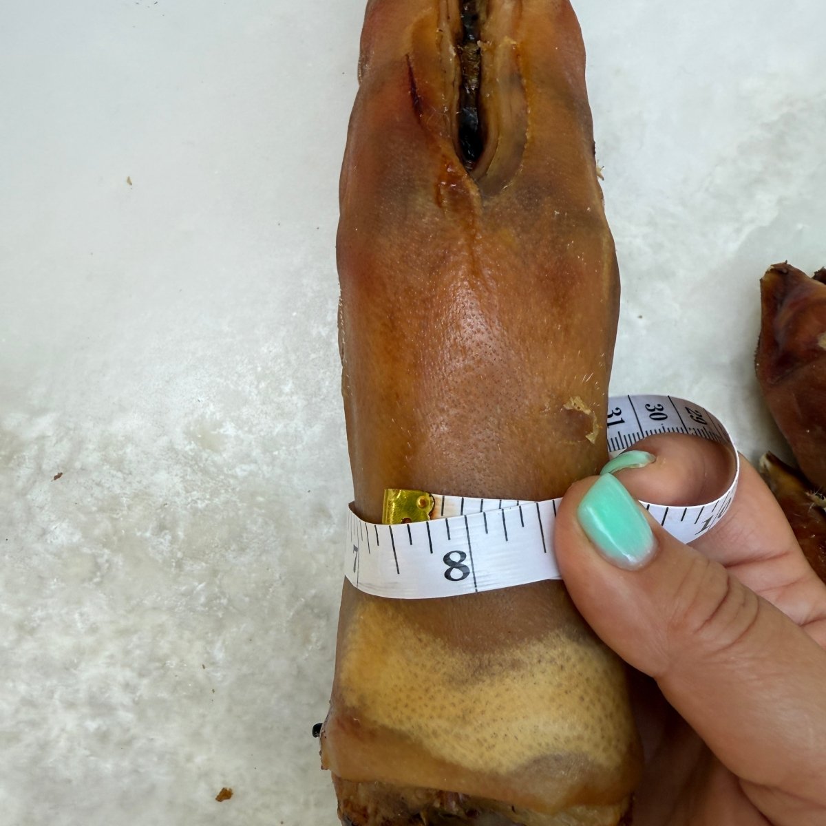 Freeze-Dried Pork trotter - For Heavy Chewers