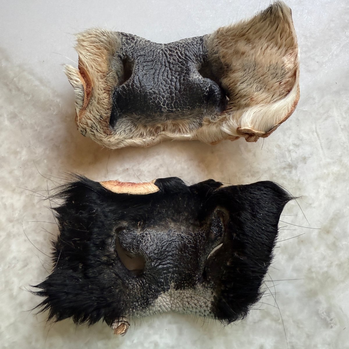 Freeze-Dried Beef Cow Hairy Snout Chew for Dogs