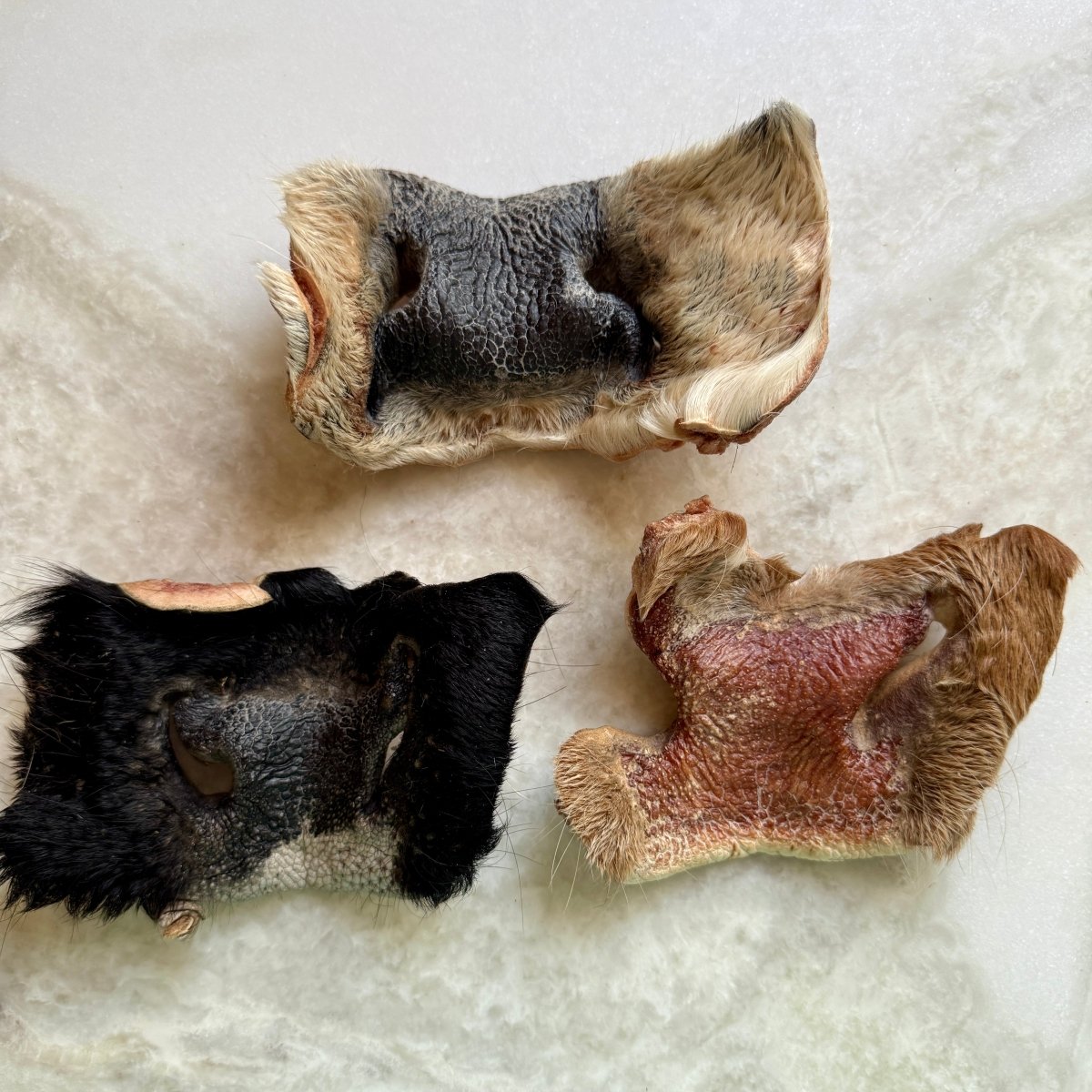 Freeze-Dried Beef Cow Hairy Snout Chew for Dogs