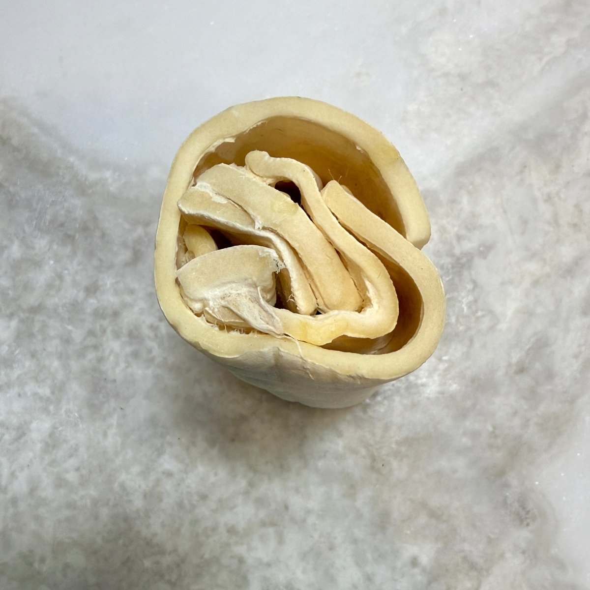 Air-Dried Beef Cheek Roll - Long Lasting Chew for Dogs