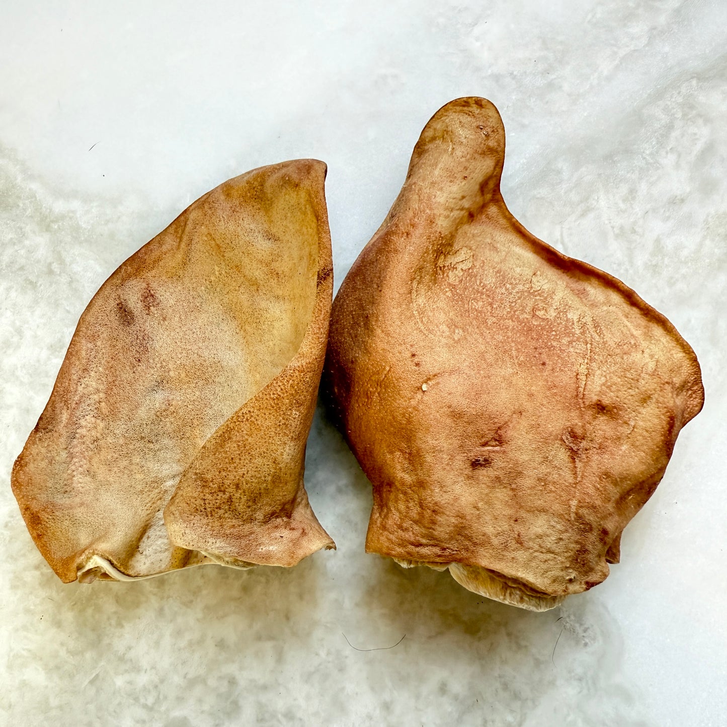 Pig Ear