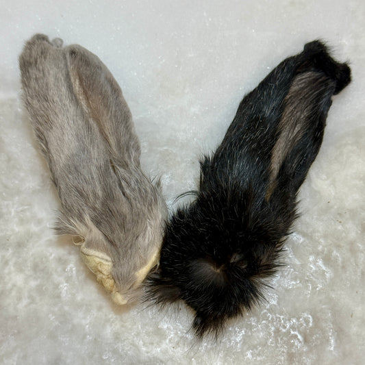 Rabbit Ear