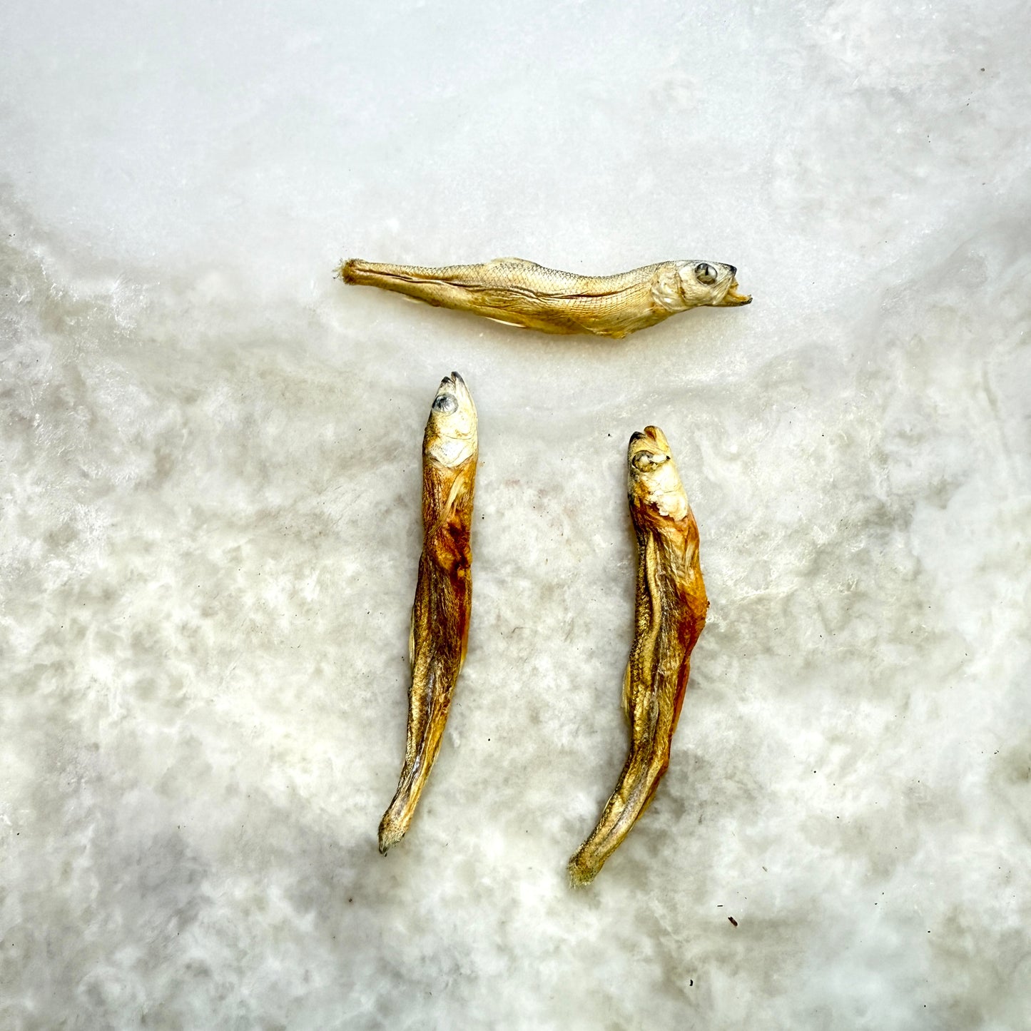 Smelt - Freeze-Dried Treats for Dogs & Cats